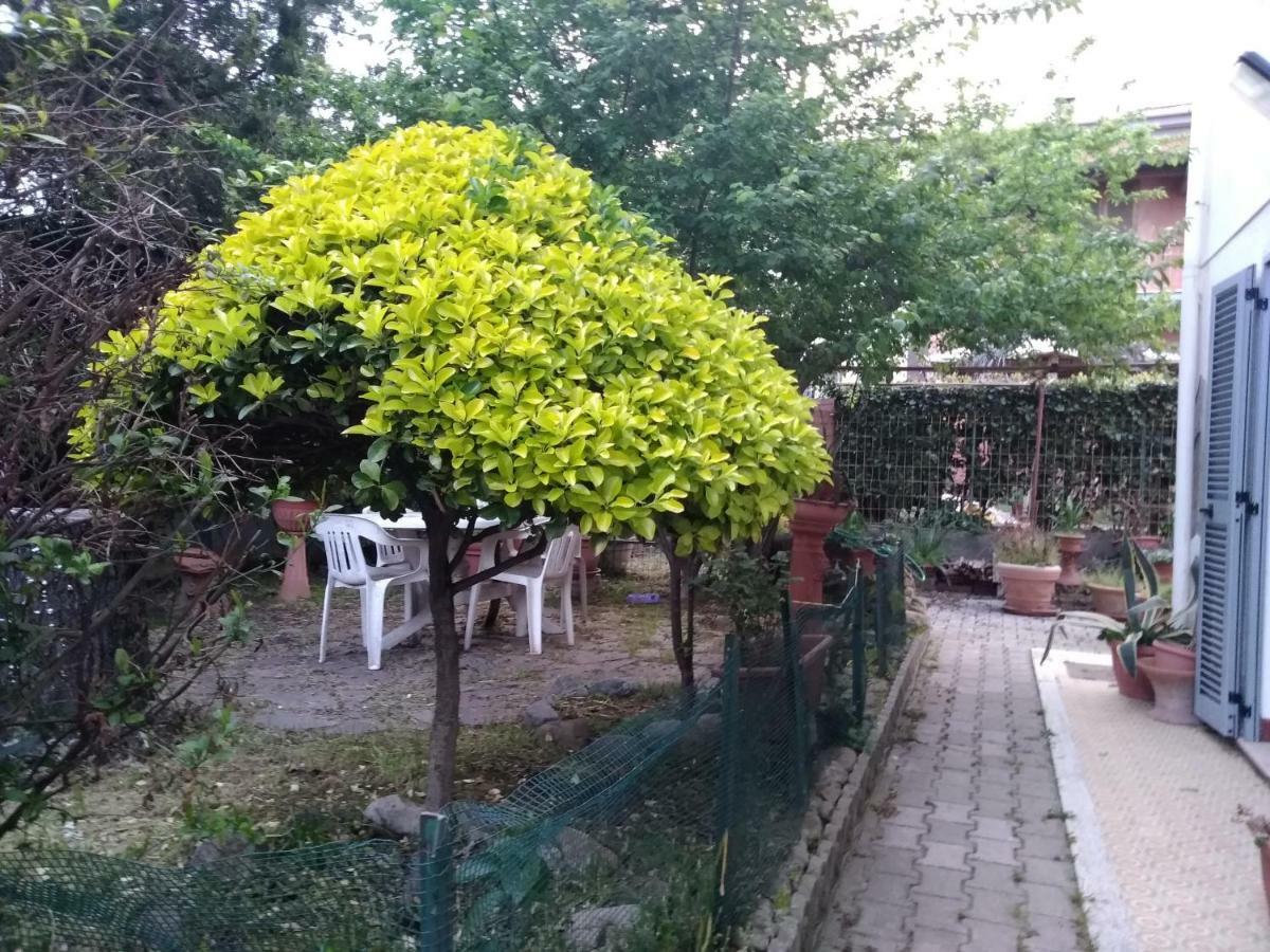 Villetta Stella Cecina  Εξωτερικό φωτογραφία